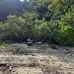 Unicharm Cruise