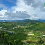 Midori Coffee Farm