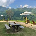 Pavi Garden