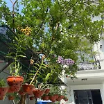 Lynh\'s Villa
