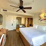 Tulip Hotel 2