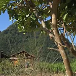 Hoang Thai Homestay