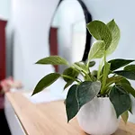 Quoc Dinh Guest House