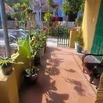 Tiny Garden House Cat Ba
