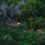 Lalita Tam Coc Resort & Spa