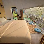 Plum Homestay