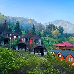 Plum Homestay
