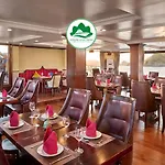 Verdure Lotus Classic Cruise