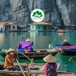 Verdure Lotus Classic Cruise