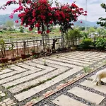 Tit Mit Homestay