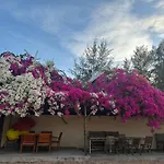 Orchid Boutique Beach Resort