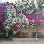 Orchid Boutique Beach Resort