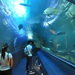 Vinpearl Discovery Rockside Nha Trang