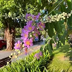 Vinhome Grand Park Homestay House
