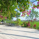 Tam Coc Sunshine Homestay
