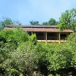 Forest Floor Lodge