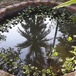 Giraffa Phu Quoc Bungalows