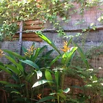 Seaside Homestay