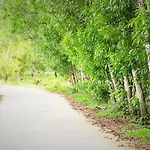 White Lotus Resort