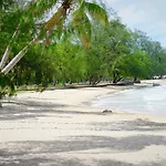 White Lotus Resort