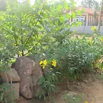 Bamboo Garden Resort