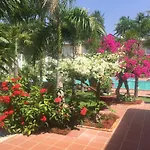 Areca Resort Cây Cau