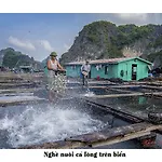 Cat Ba Hostel