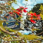 Dalat Train Villa