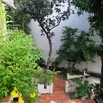 Moon House Tropical Garden - Lavender