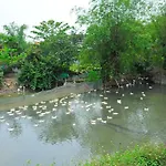 Hoang Giang Homestay