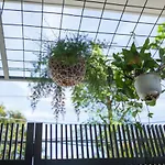 Ben Villa-3\' Walk To My Khe Beach.