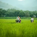 Mai Chau Villas