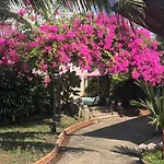 Diamond Hotel & Resort