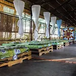 Longson Muine Backpacker Paradise