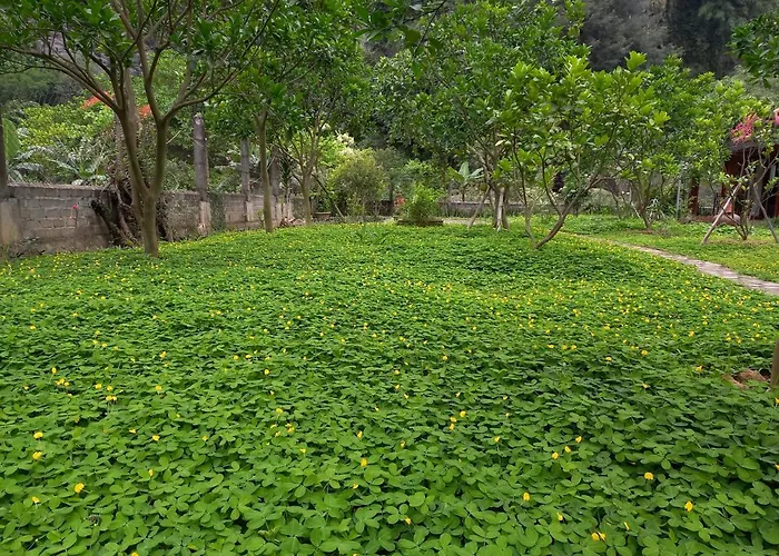 Yen Binh Homestay