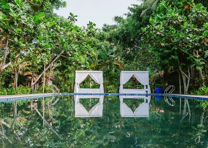 An Nhien Retreat Phu Quoc With Yoga Daily & Beach Access