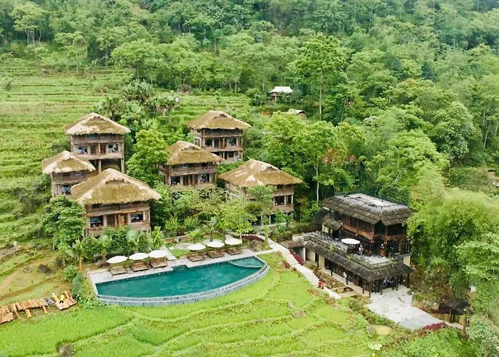 Amigo Pu Luong