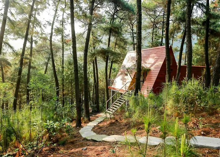 Cat Ba Eco Lodge Resort