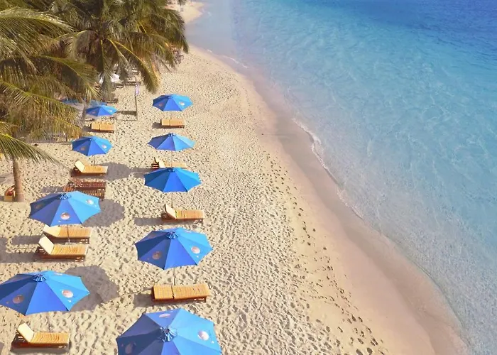 Orange Resort