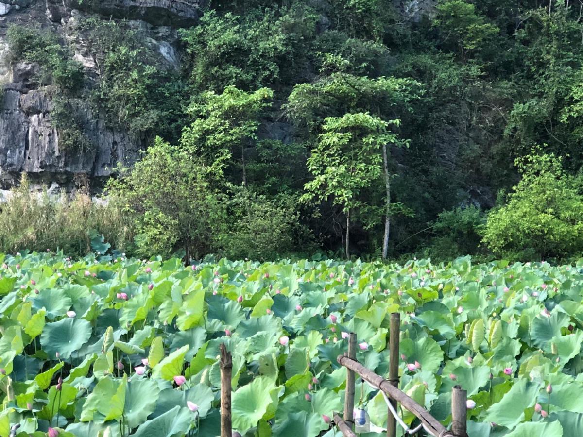 Trang An River View Ninh Binh