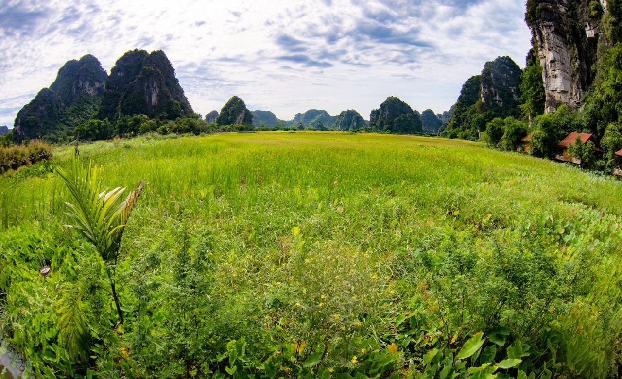 Trang An Tam Gia Trang