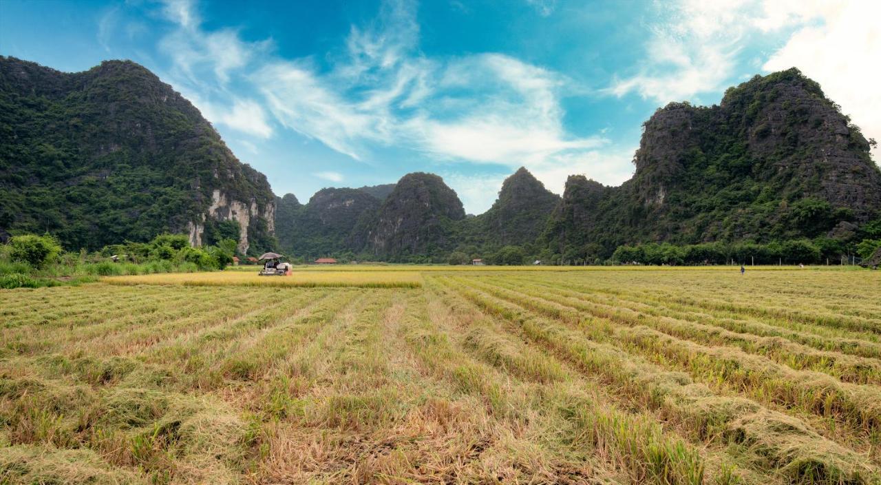 Trang An Tam Gia Trang