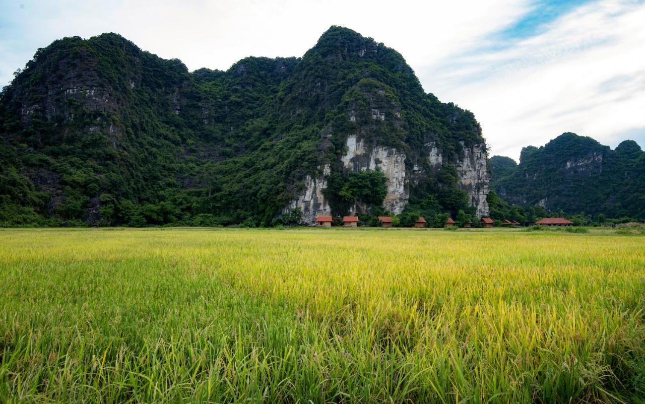 Trang An Tam Gia Trang