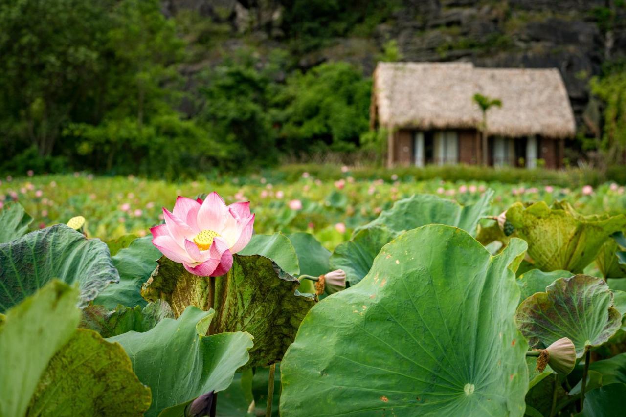 Khu cắm trại Mường Village