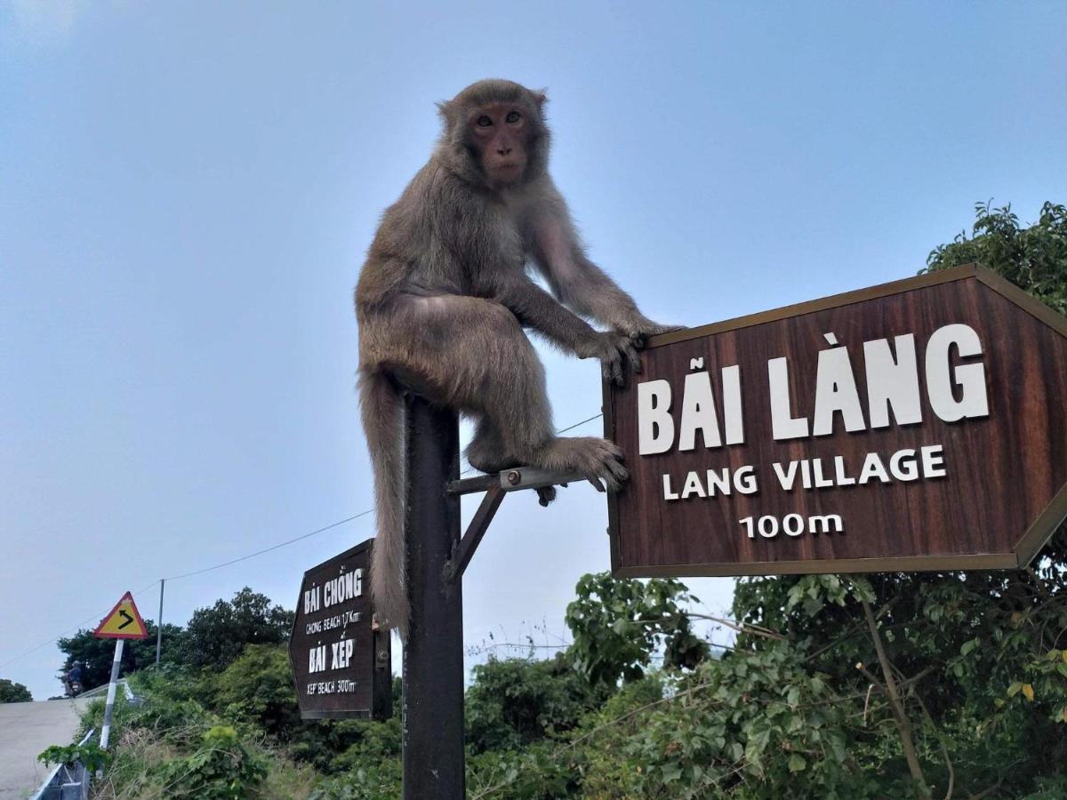 Monkeyland Cham Island * Tan Hiep (Quang Nam)