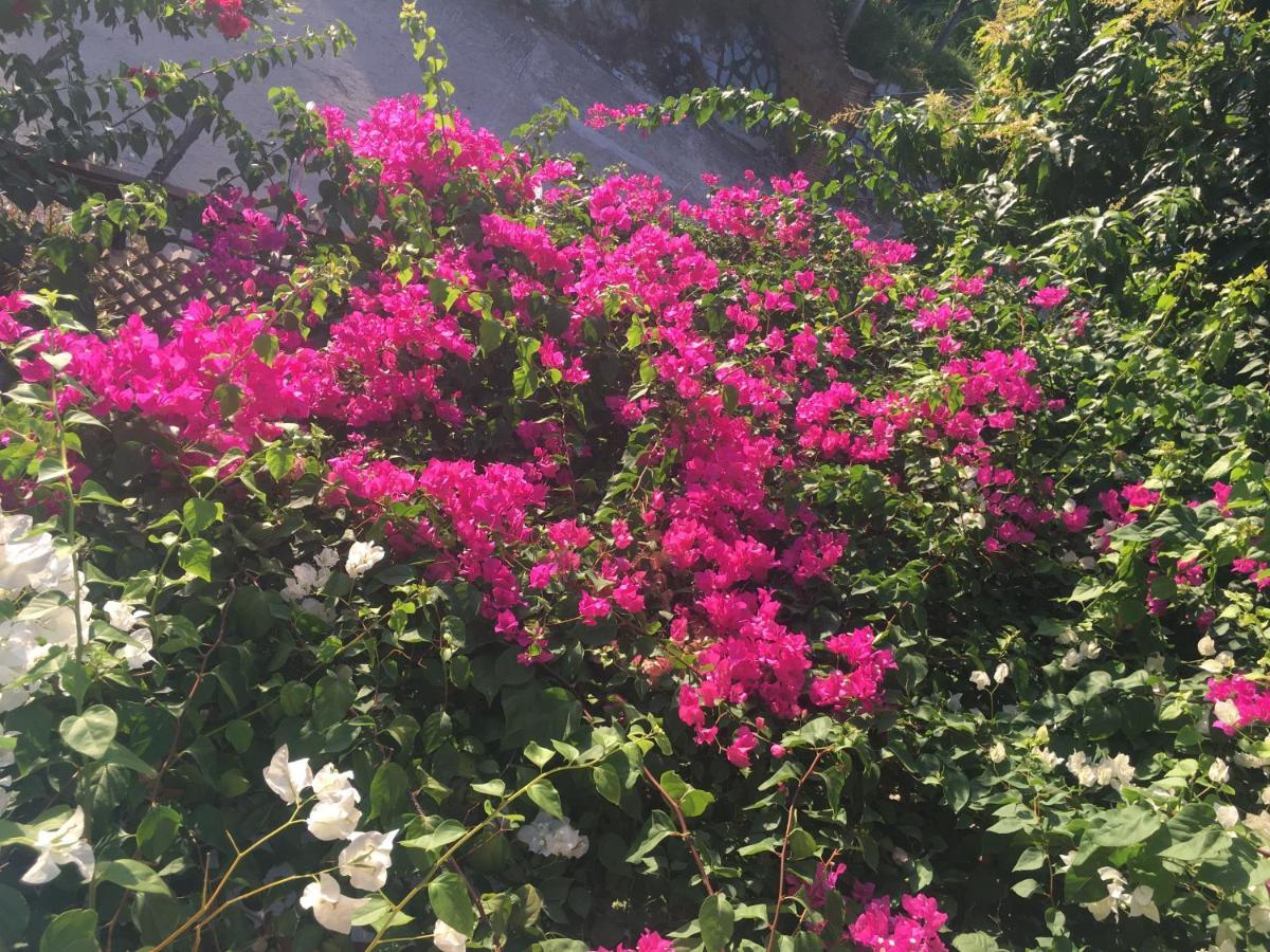 Gasthof Confetti House Quy Nhon