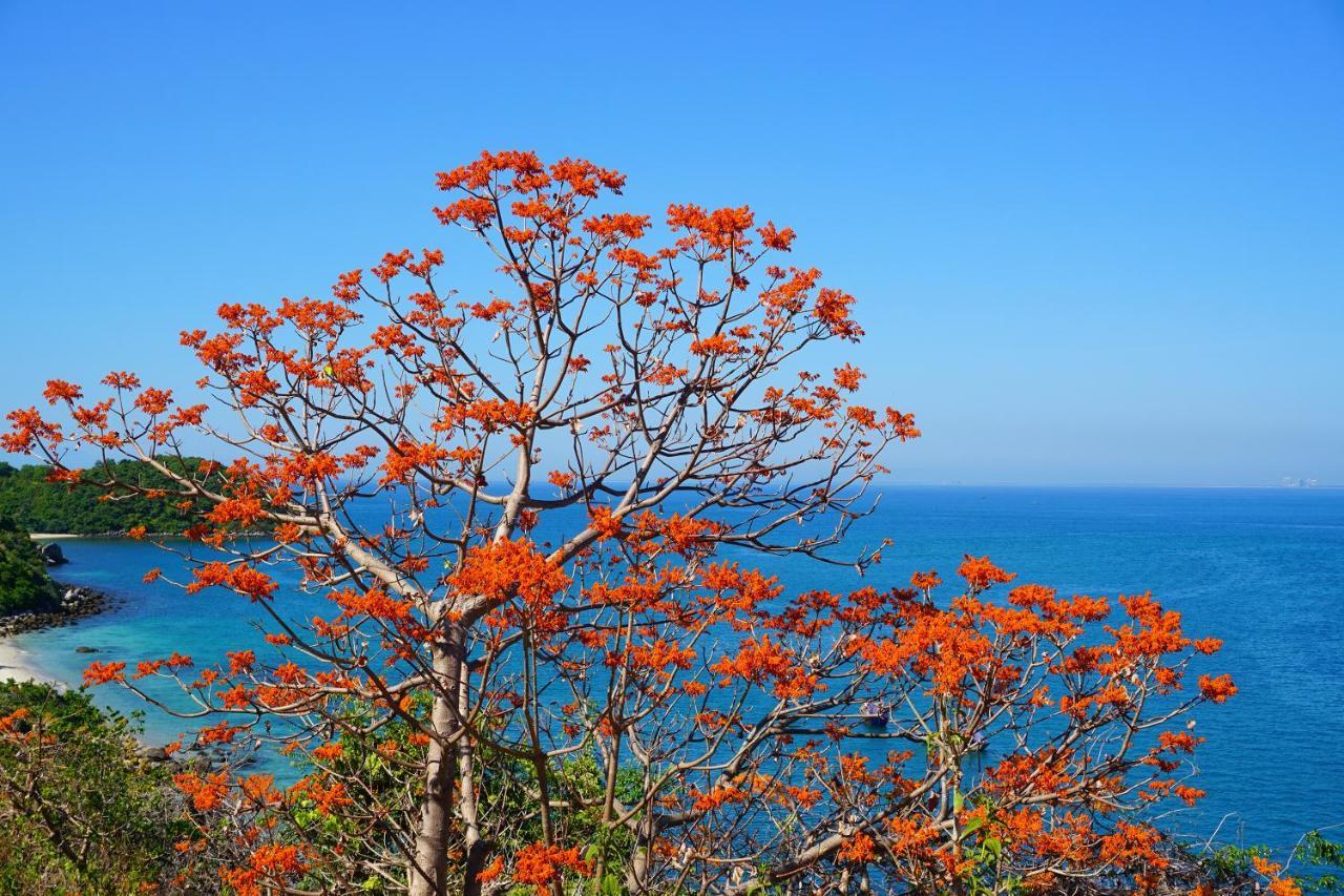 Cham Island Lau Thu Homestay
