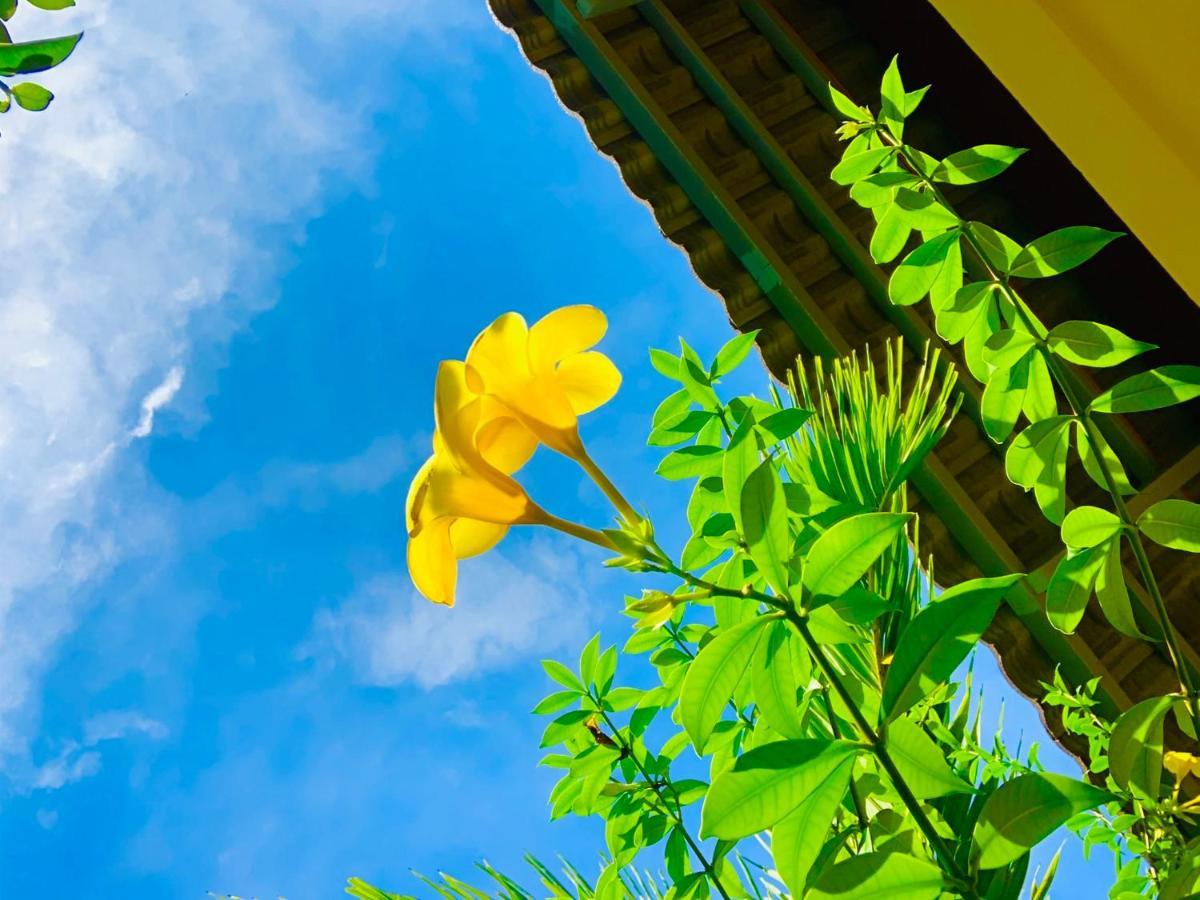 Canary 3* Phú Quốc