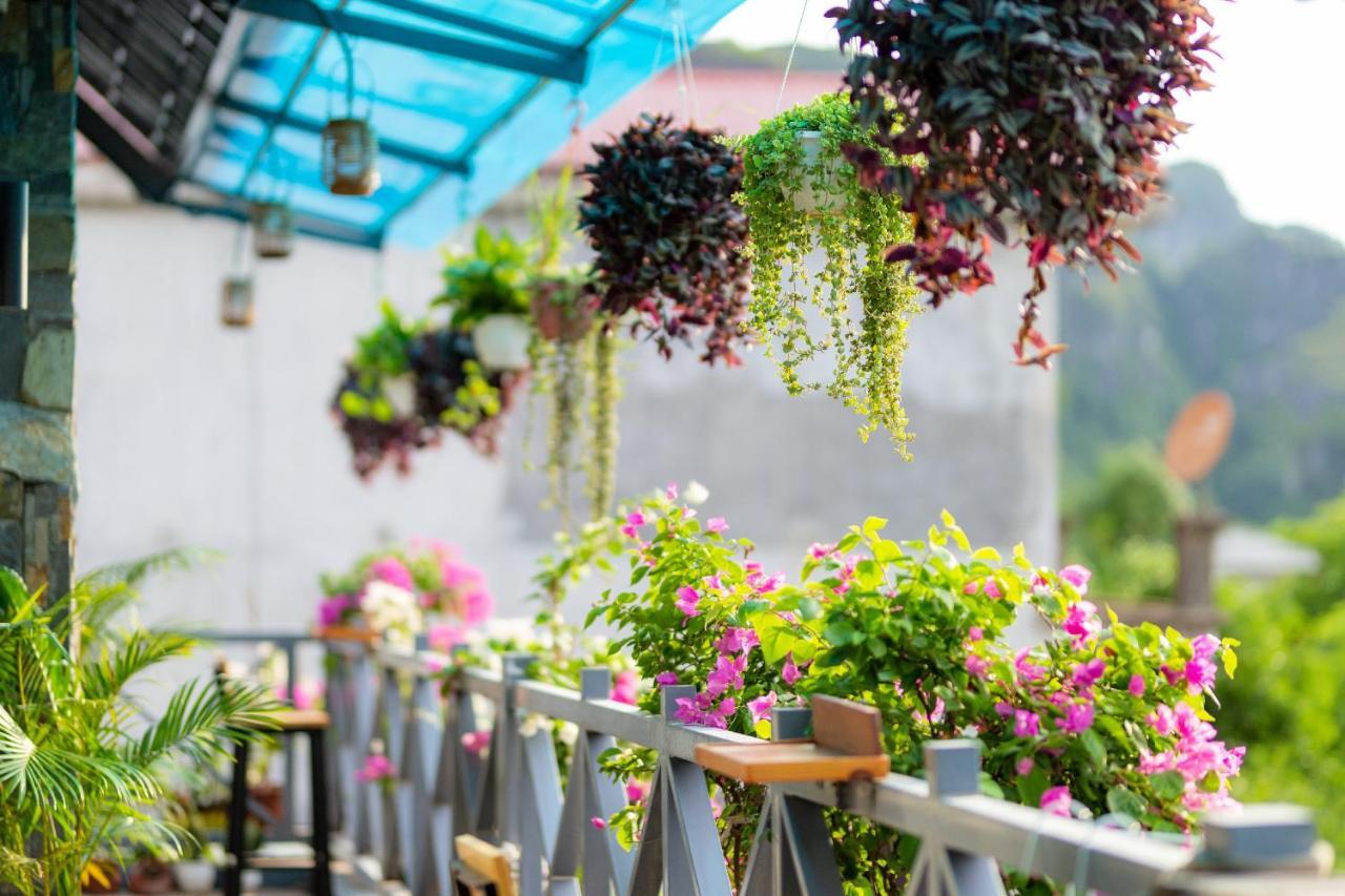 An Thai And Bar Ninh Binh