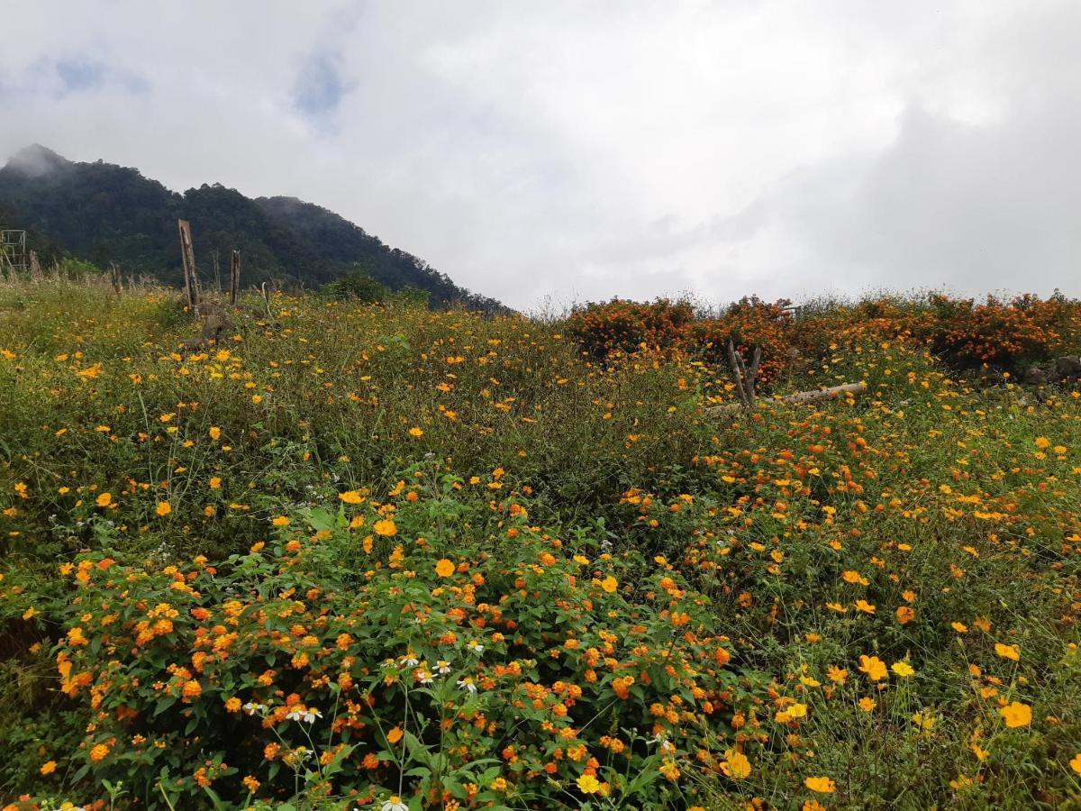Homestay Your Mai Chau
